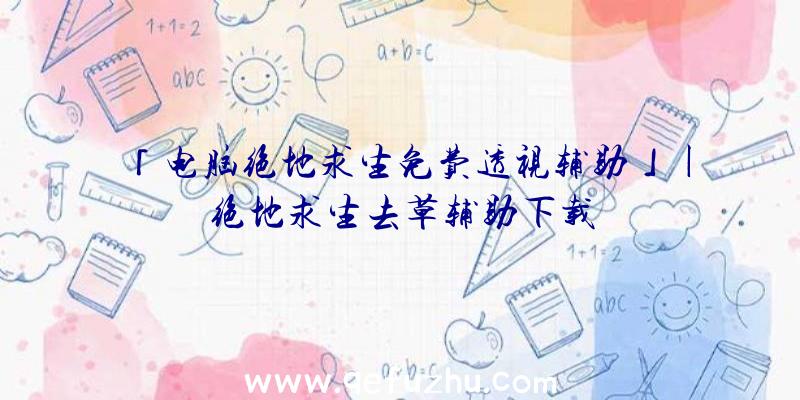 「电脑绝地求生免费透视辅助」|绝地求生去草辅助下载